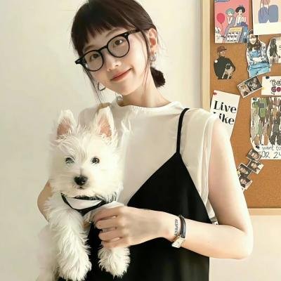 船来船往